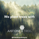 Large Sycamore Charcuterie Boards 15.5" (40cm) x 10" (26cm) x 1.2" (3cm)